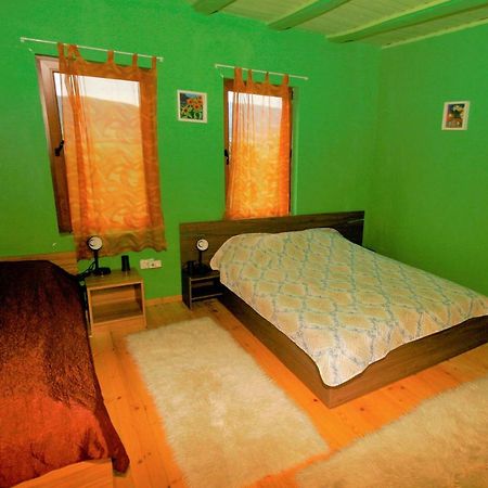 Chuchi Guest House 1 Zlatna Panega Eksteriør bilde