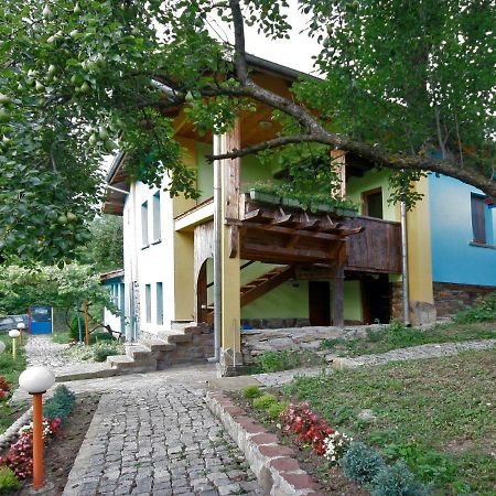 Chuchi Guest House 1 Zlatna Panega Eksteriør bilde