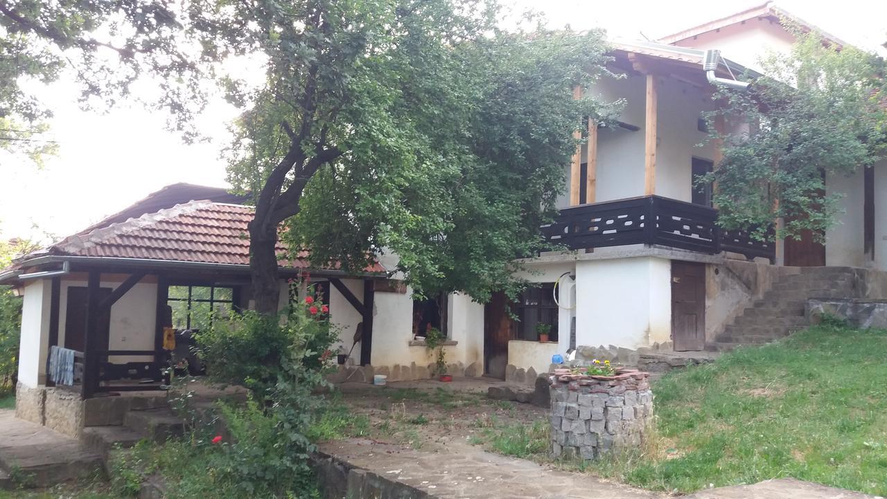 Chuchi Guest House 1 Zlatna Panega Eksteriør bilde