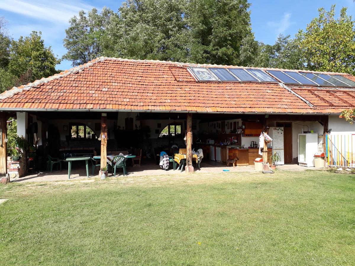 Chuchi Guest House 1 Zlatna Panega Eksteriør bilde