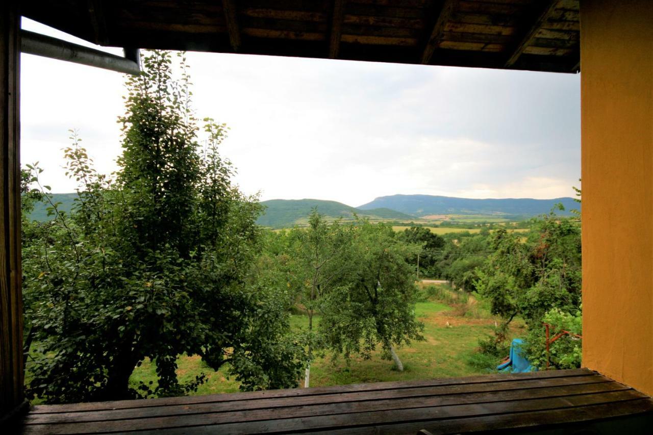 Chuchi Guest House 1 Zlatna Panega Eksteriør bilde