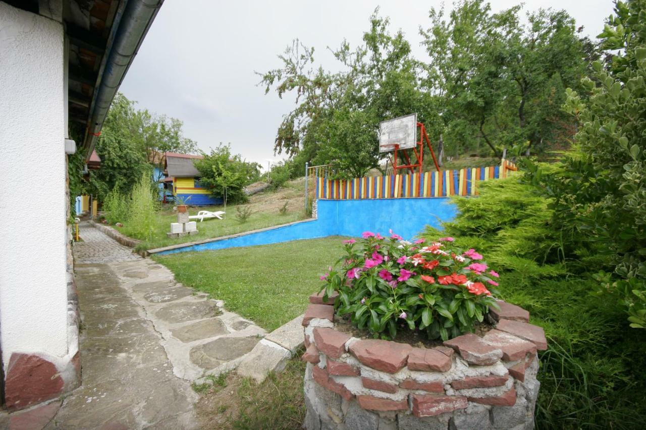 Chuchi Guest House 1 Zlatna Panega Eksteriør bilde