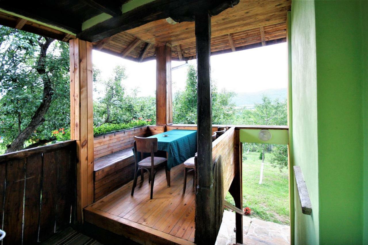 Chuchi Guest House 1 Zlatna Panega Eksteriør bilde