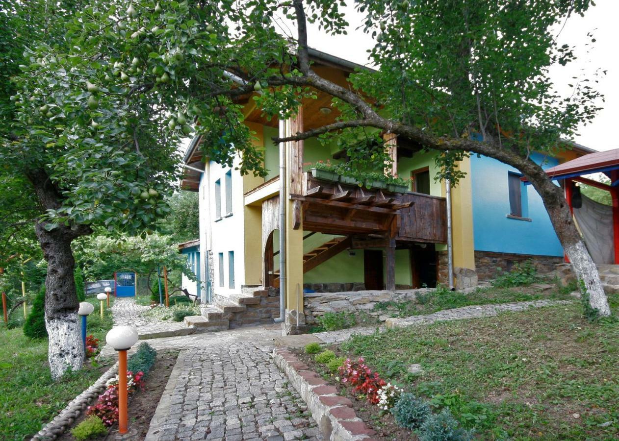 Chuchi Guest House 1 Zlatna Panega Eksteriør bilde