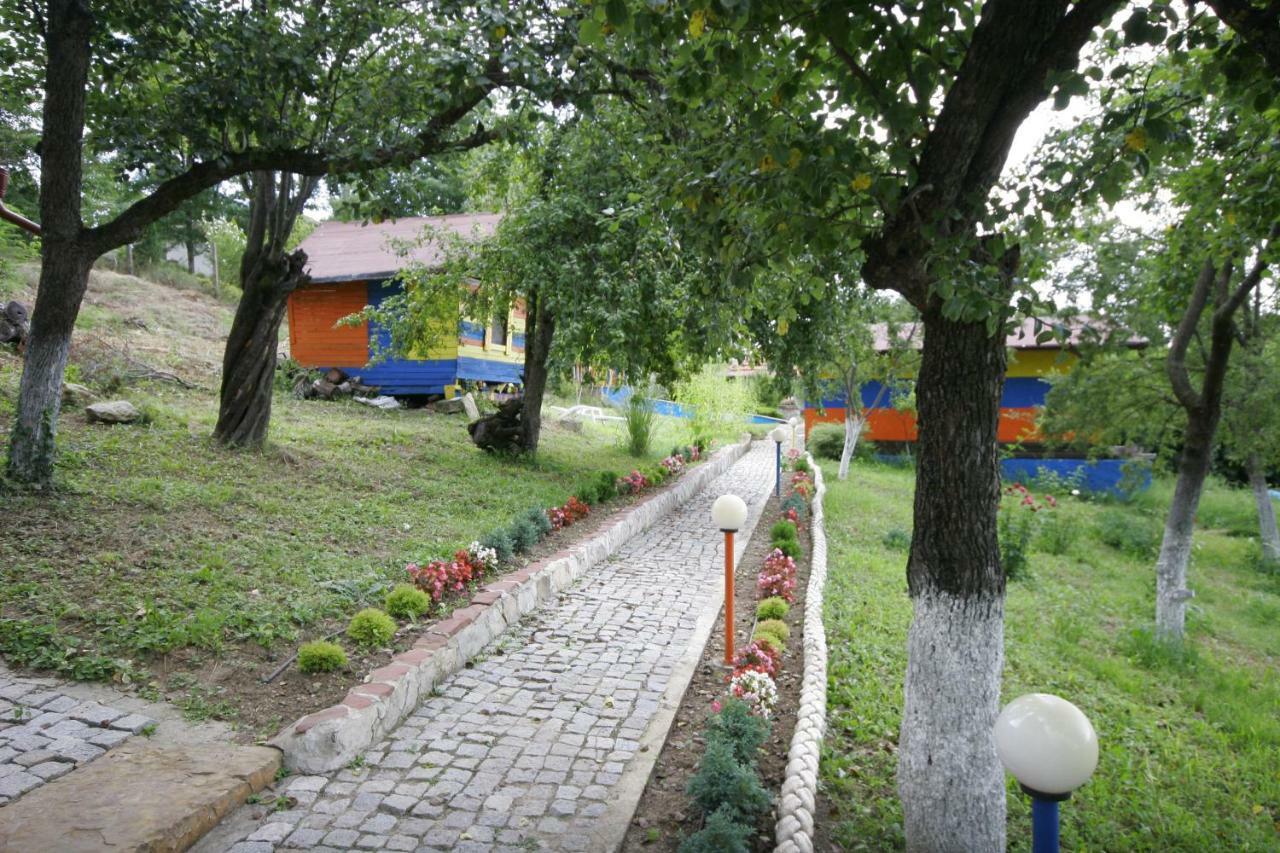 Chuchi Guest House 1 Zlatna Panega Eksteriør bilde